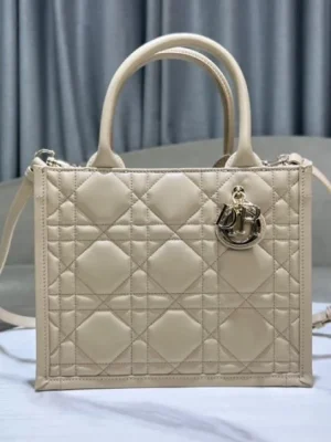 Dior Book Tote Bags
