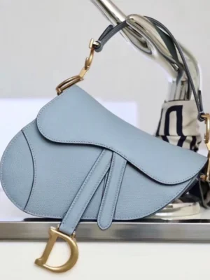 Dior Saddle Shoulder Bag