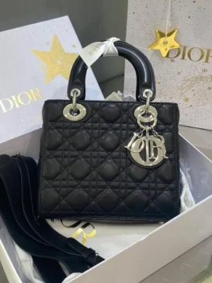 Dior Micro Lady Dior