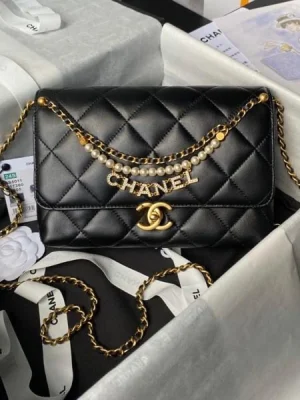 Chanel Coco Flap Bags
