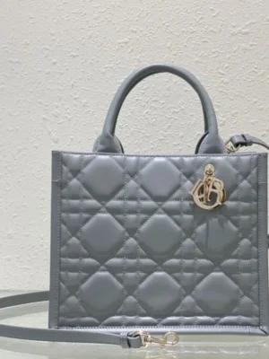 Dior Book Tote Bags