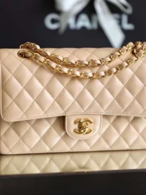 Chanel Coco Classic Flap