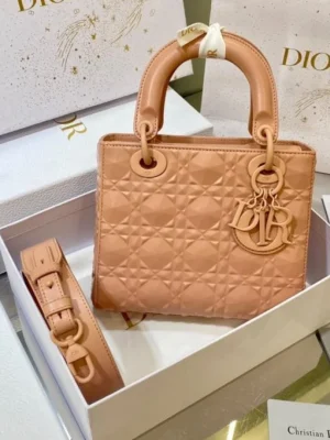 Dior Micro Lady Dior