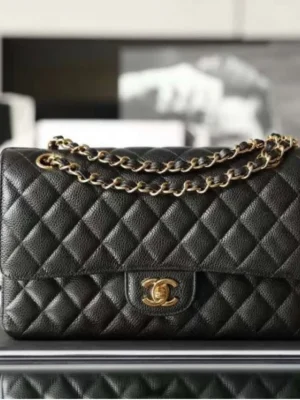Chanel Coco Classic Flap