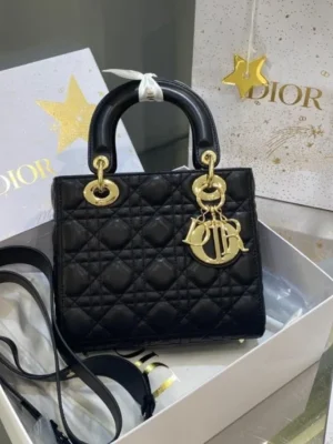 Dior Micro Lady Dior