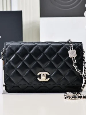 Chanel Coco Classic Bags