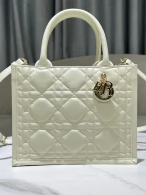 Dior Book Tote Bags