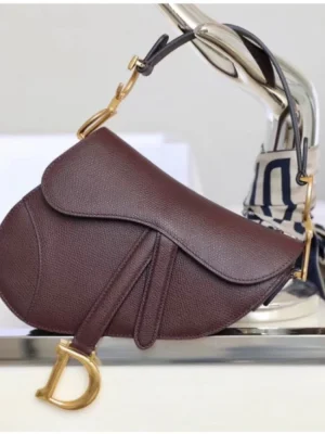 Dior Saddle Shoulder Bag