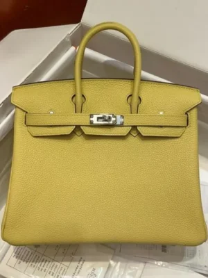Hermès Birkin Epsom Palladium