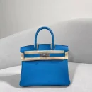 Hermès Birkin Togo Palladium