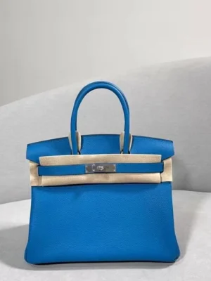 Hermès Birkin Togo Palladium