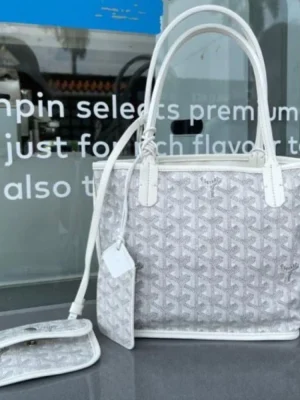 Goyard Anjou Mini Tote
