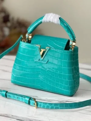 Louis Vuitton Capucines Handle