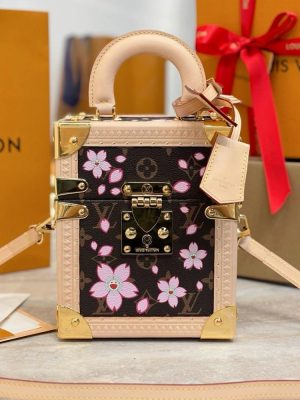 Louis Vuitton Camera Box