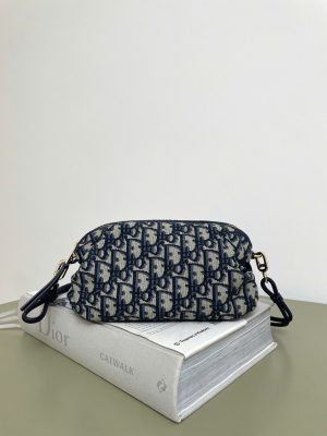 Dior Oblique Bow Bags