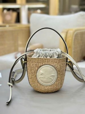 Chloé Horse Medal Hobo